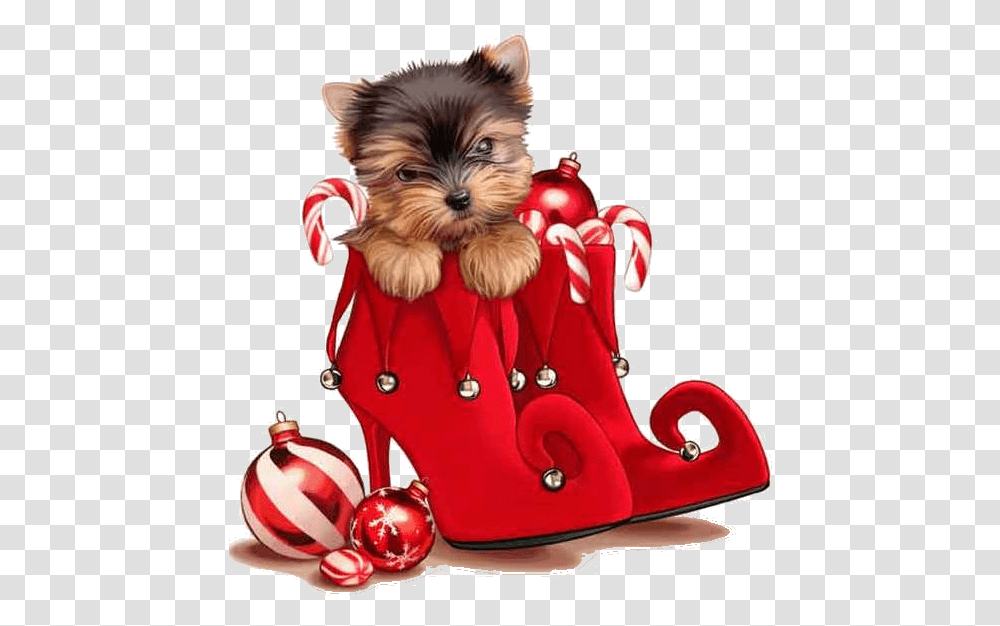 Download Christmas Dog Merry Christmas Dogs, Figurine, Plant, Animal, Mammal Transparent Png