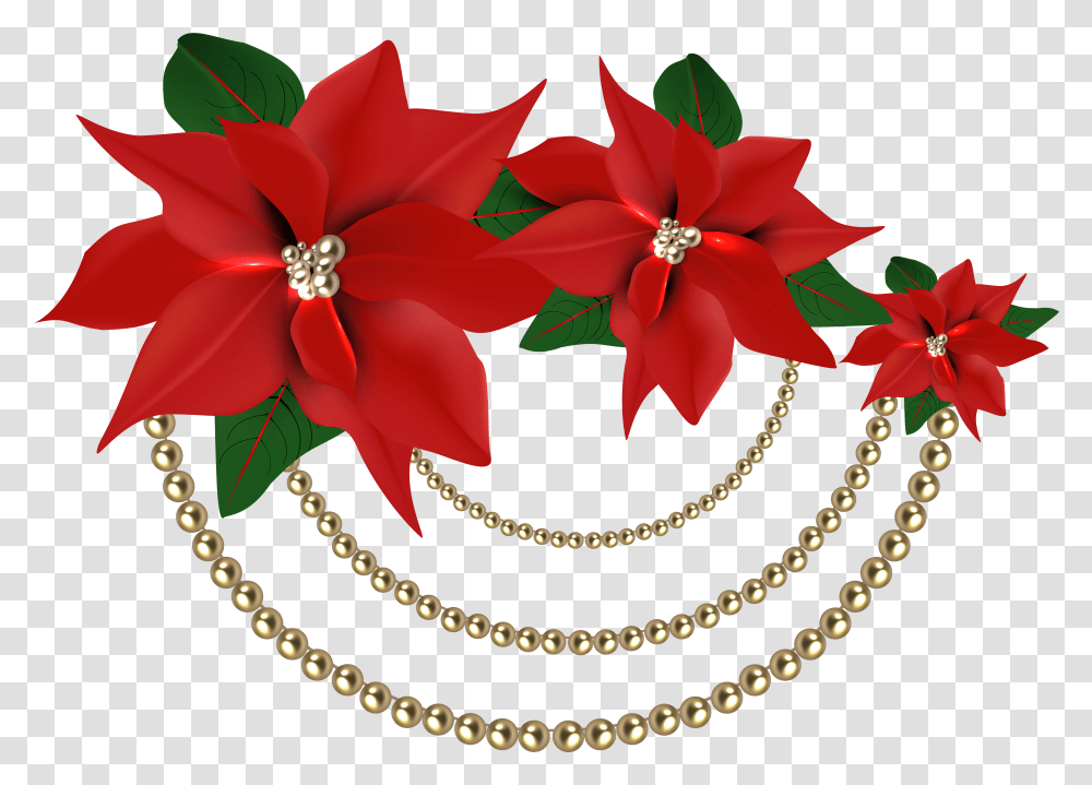 Download Christmas Flowers Poinsettia Flower Background, Floral Design, Pattern, Graphics, Art Transparent Png