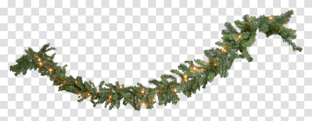 Download Christmas Garland Crafthubs Christmas Garland, Plant, Tree, Sea Anemone, Invertebrate Transparent Png