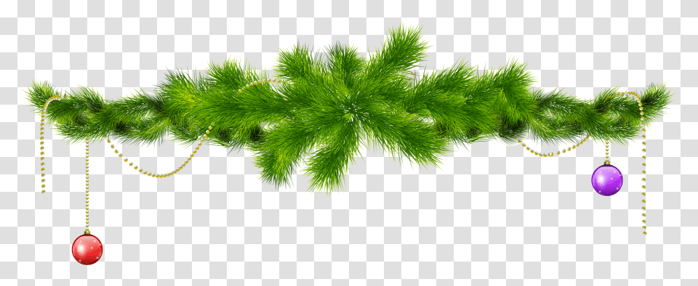 Download Christmas Holly Images Free Branch Christmas Tree Branches, Leaf, Plant, Green, Moss Transparent Png