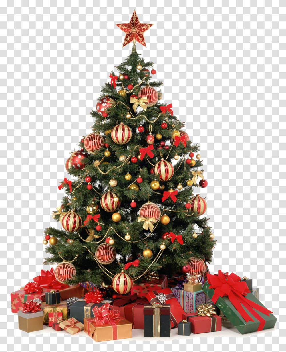 Download Christmas Home Clipart, Christmas Tree, Ornament, Plant Transparent Png