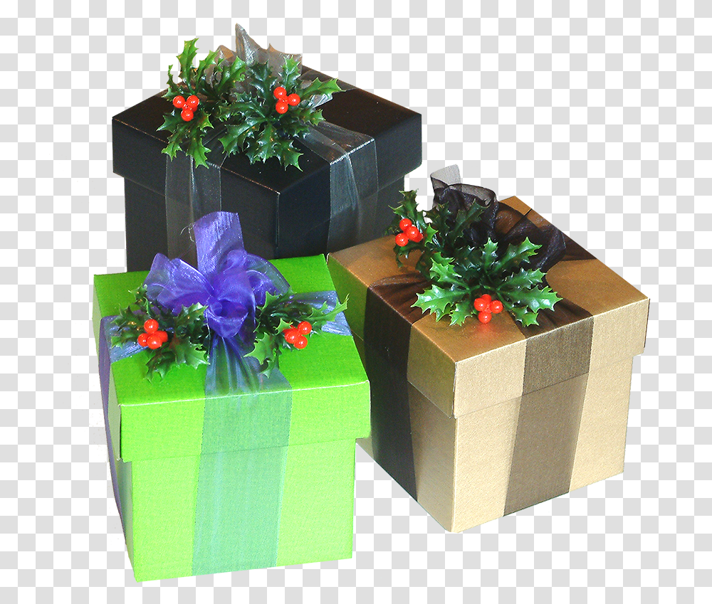 Download Christmas Presents Clipart Gift Full Size Regalos, Plant, Flower, Blossom, Box Transparent Png