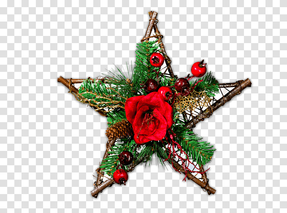 Download Christmas Stars Clipart Christmas Star Clipart, Ornament, Plant, Accessories, Accessory Transparent Png