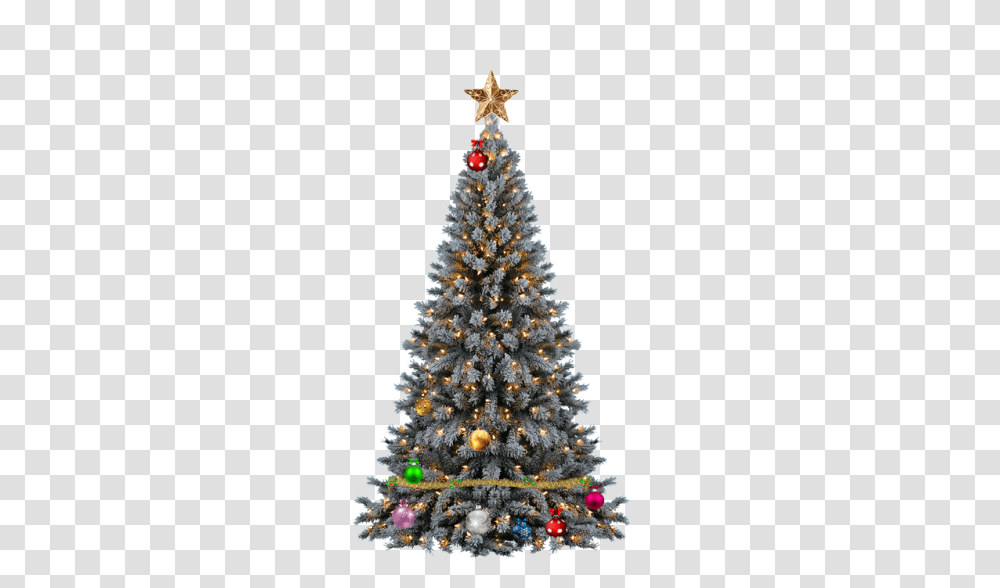 Download Christmas Tree Justin Bieber Christmas Tree, Plant, Ornament, Pine Transparent Png