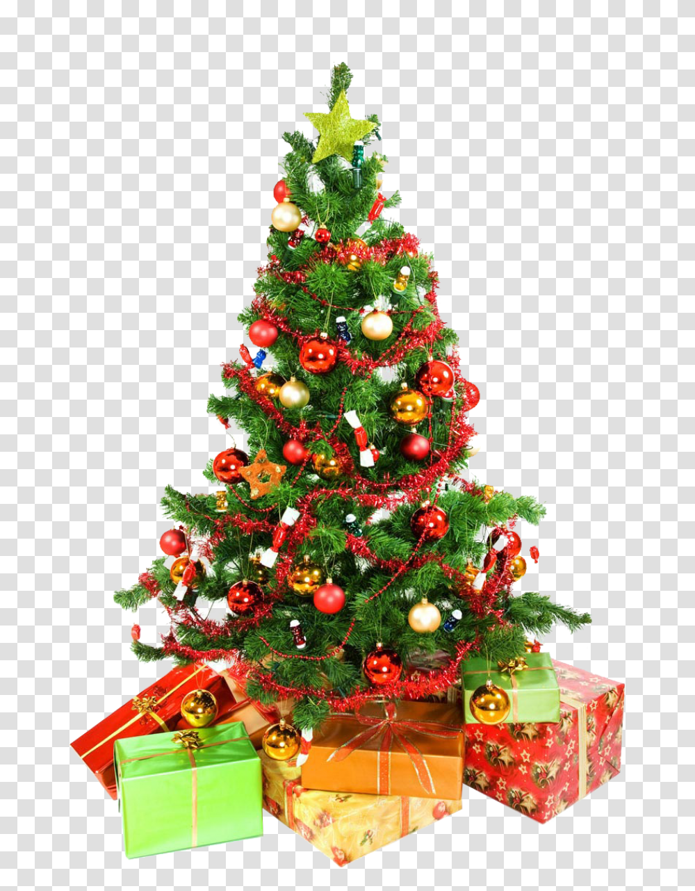Download Christmas Tree Presents Underneath Image For Free Christmas Tree High Resolution, Ornament, Plant Transparent Png