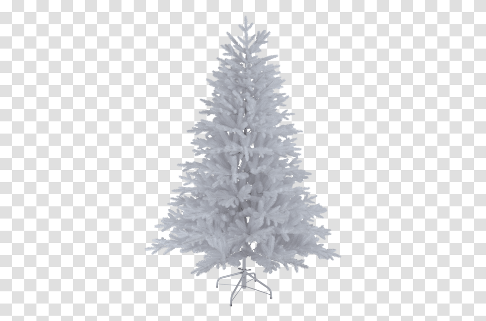 Download Christmas Tree Wasa Christmas Tree, Ornament, Plant Transparent Png