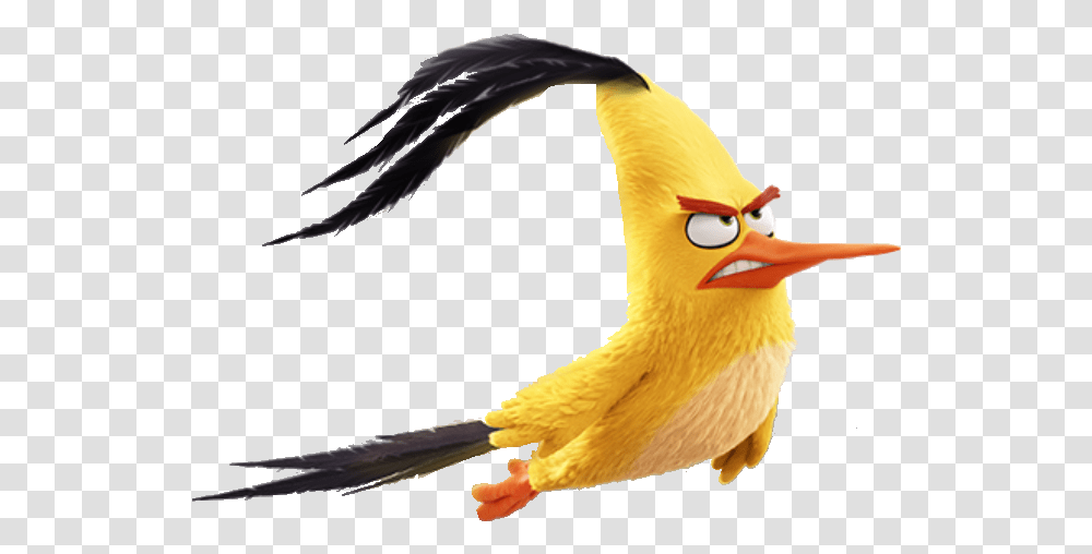 Download Chuck6 Angry Birds Movie Chuck Flying Image Chuck From Angry Birds Transparent Png