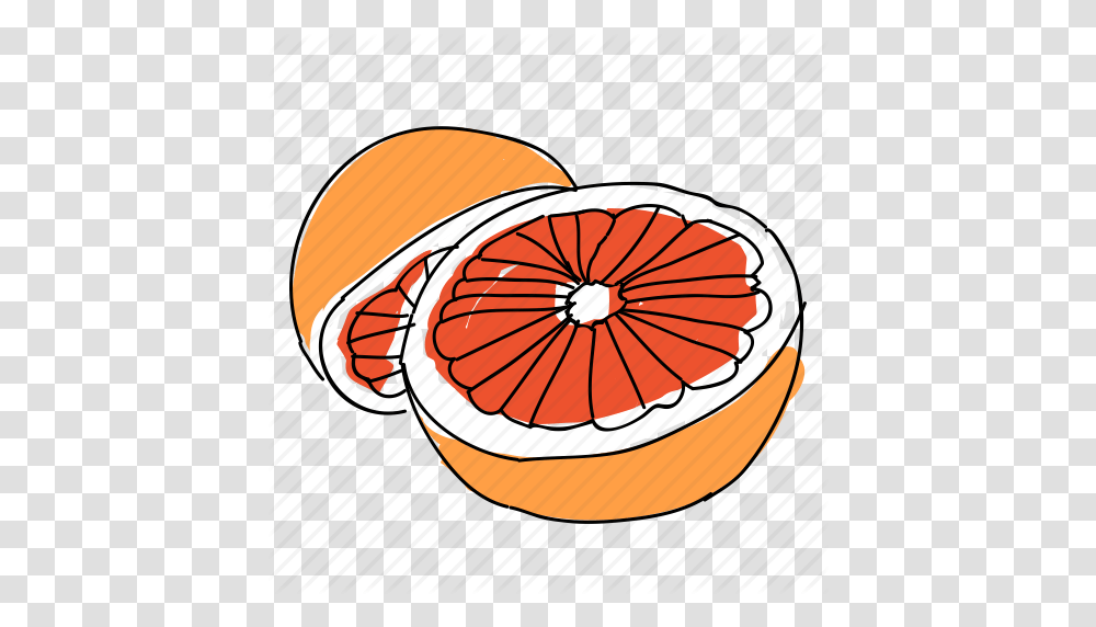 Download Citrus Clipart Orange Juice Clip Art Orangejuicefruit, Grapefruit, Citrus Fruit, Produce, Food Transparent Png