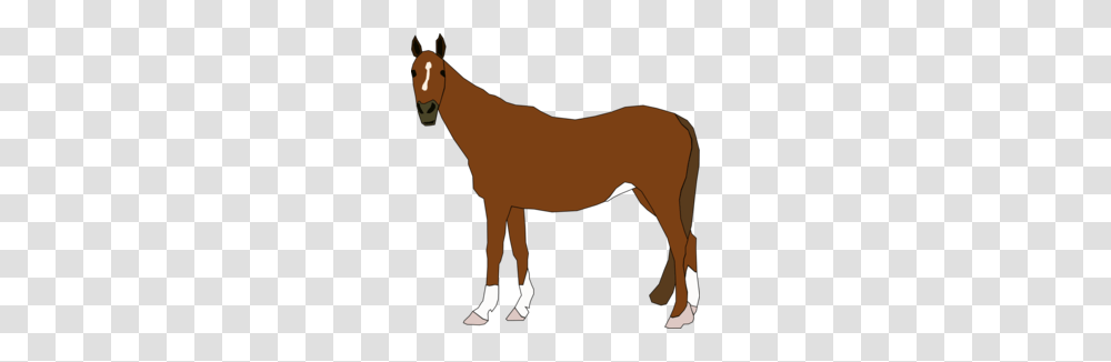 Download Clip Art Clipart Mule Pony Clip Art, Mammal, Animal, Horse, Foal Transparent Png