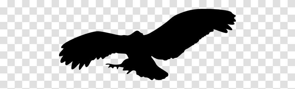 Download Clip Art Flying Eagle, Animal, Bird, Vulture, Silhouette Transparent Png