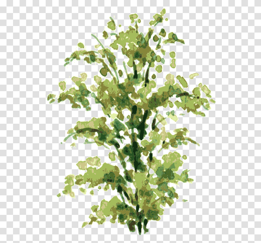 Download Clip Art Freeuse Library Shrub Drawing Shrub Watercolor Plant, Tree, Pattern Transparent Png