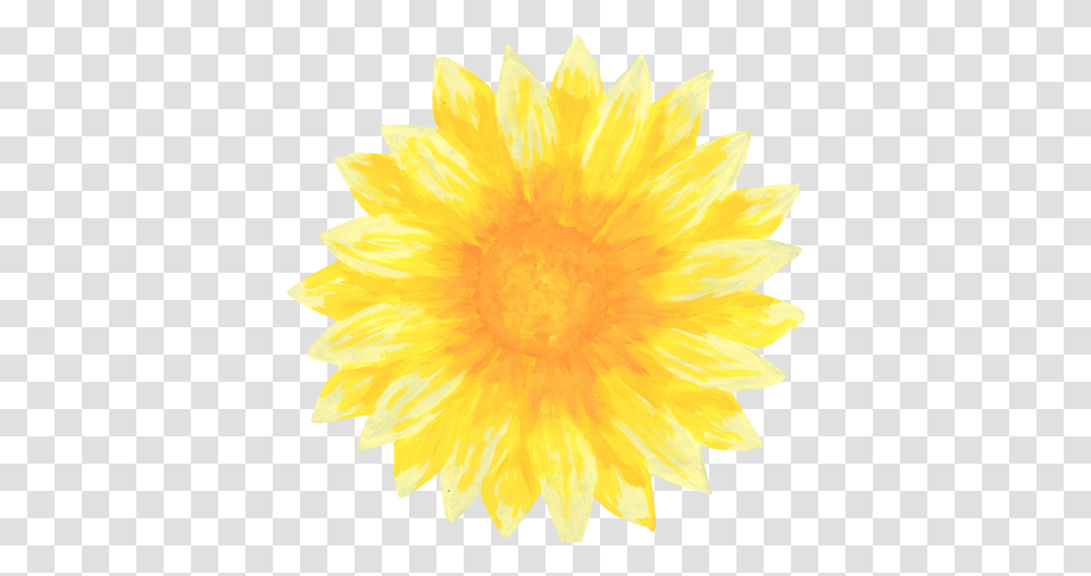 Download Clip Art Library Sunflowers For Free Fresh, Plant, Blossom, Dahlia, Daisy Transparent Png