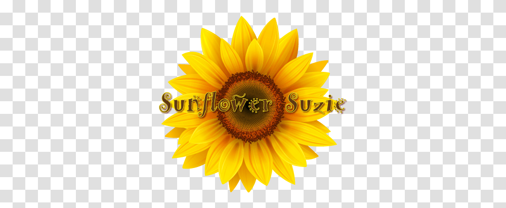 Download Clip Art Sun Flower Image With No Background Vetor Girassol Desenho, Plant, Blossom, Sunflower, Daisy Transparent Png