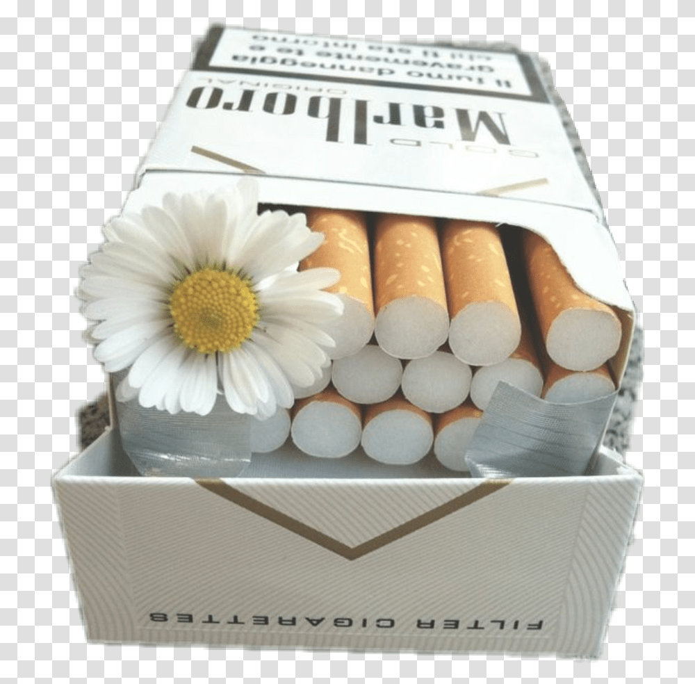 Download Clip Freeuse Stock Flower Aesthetic Badgirl Malboro Cigarettes, Plant, Box, Daisy, Daisies Transparent Png