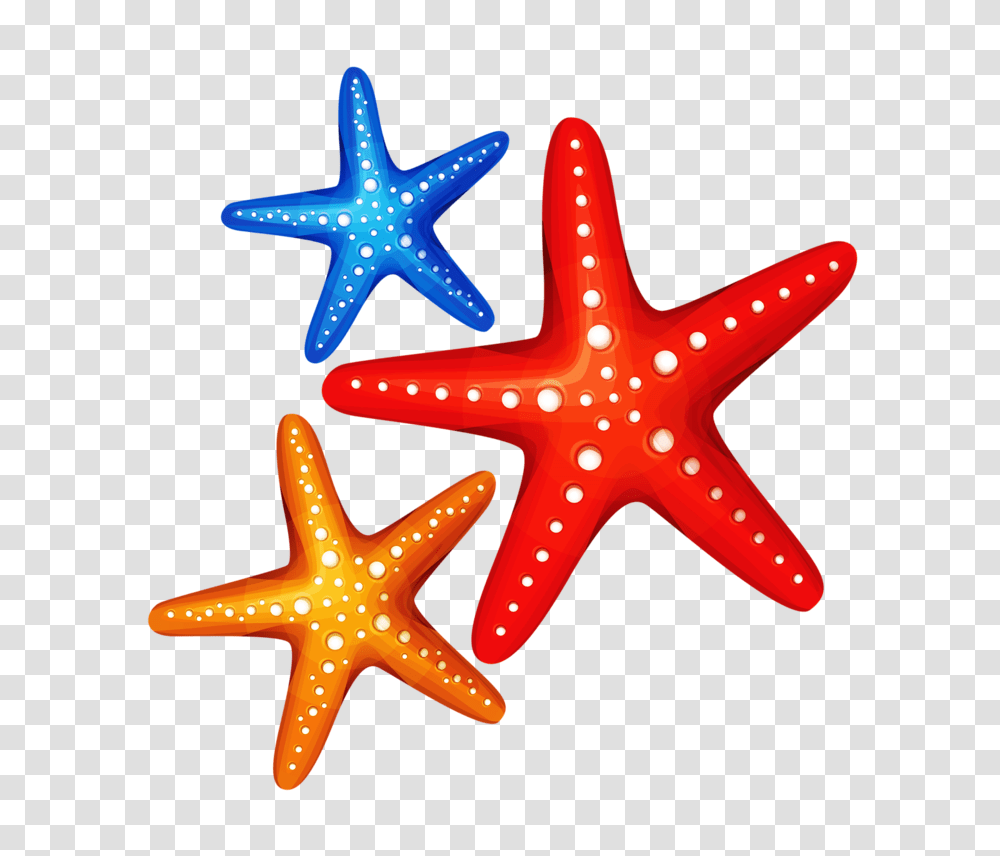 Download Clip Sea Star Cartoon Full Beach Starfish Clipart, Invertebrate, Sea Life, Animal, Cross Transparent Png