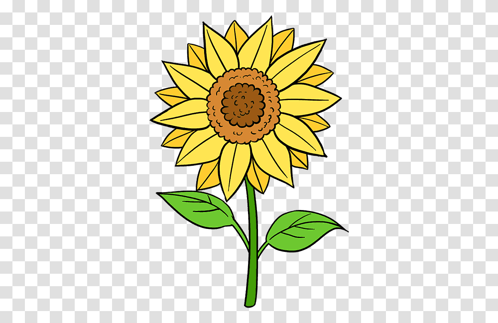 Download Clip Stock How To Draw A Sunflower Easy Flowers And Drawing Easy, Plant, Blossom, Pineapple, Fruit Transparent Png