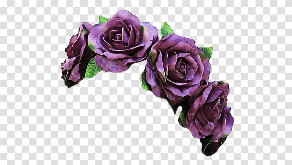 Download Clipart Free Library Vine Flowers Flowercrown Purple Flower Crown, Plant, Rose, Blossom, Geranium Transparent Png