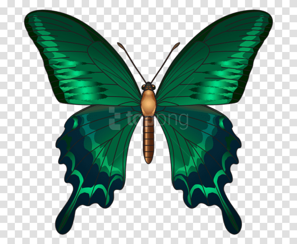 Download Clipart Photo Toppng Green Butterfly, Insect, Invertebrate, Animal, Pattern Transparent Png