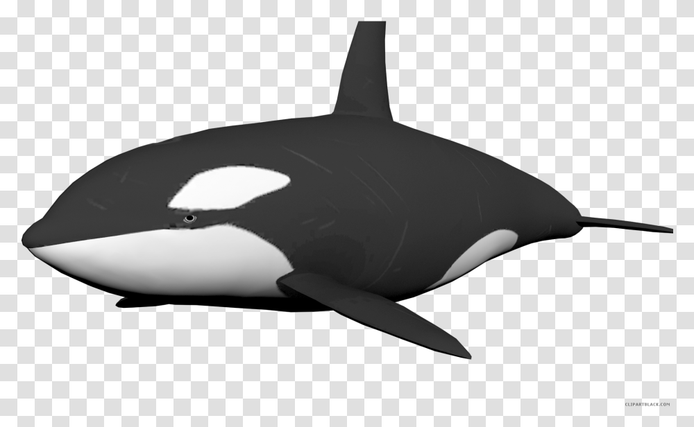 Download Clipartblack Com Animal Free Cute Orca Background, Sea Life, Mammal, Killer Whale, Airplane Transparent Png