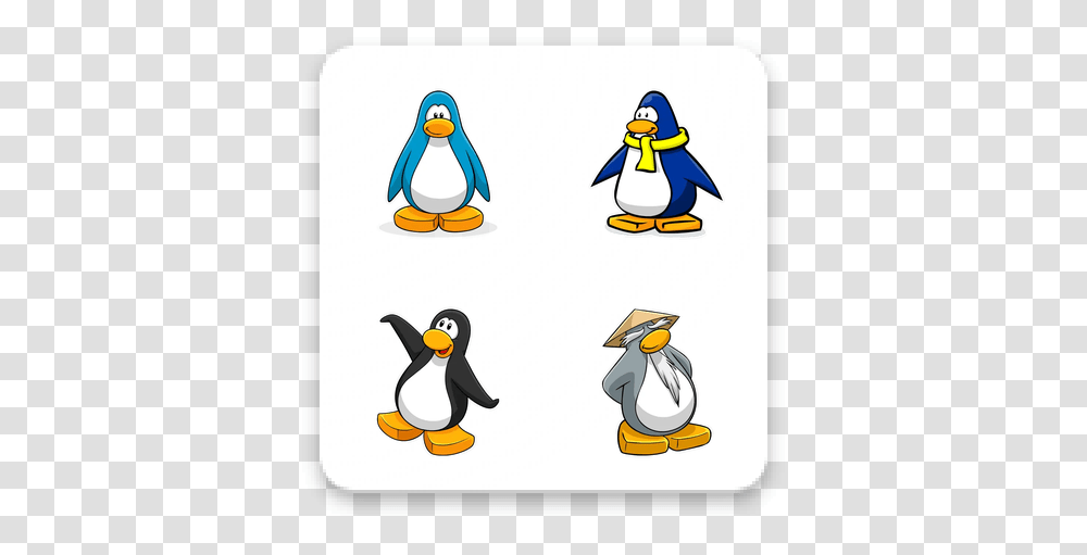 Download Club Penguin Whatsapp Stickers Sharing, Bird, Animal, King Penguin, Waterfowl Transparent Png