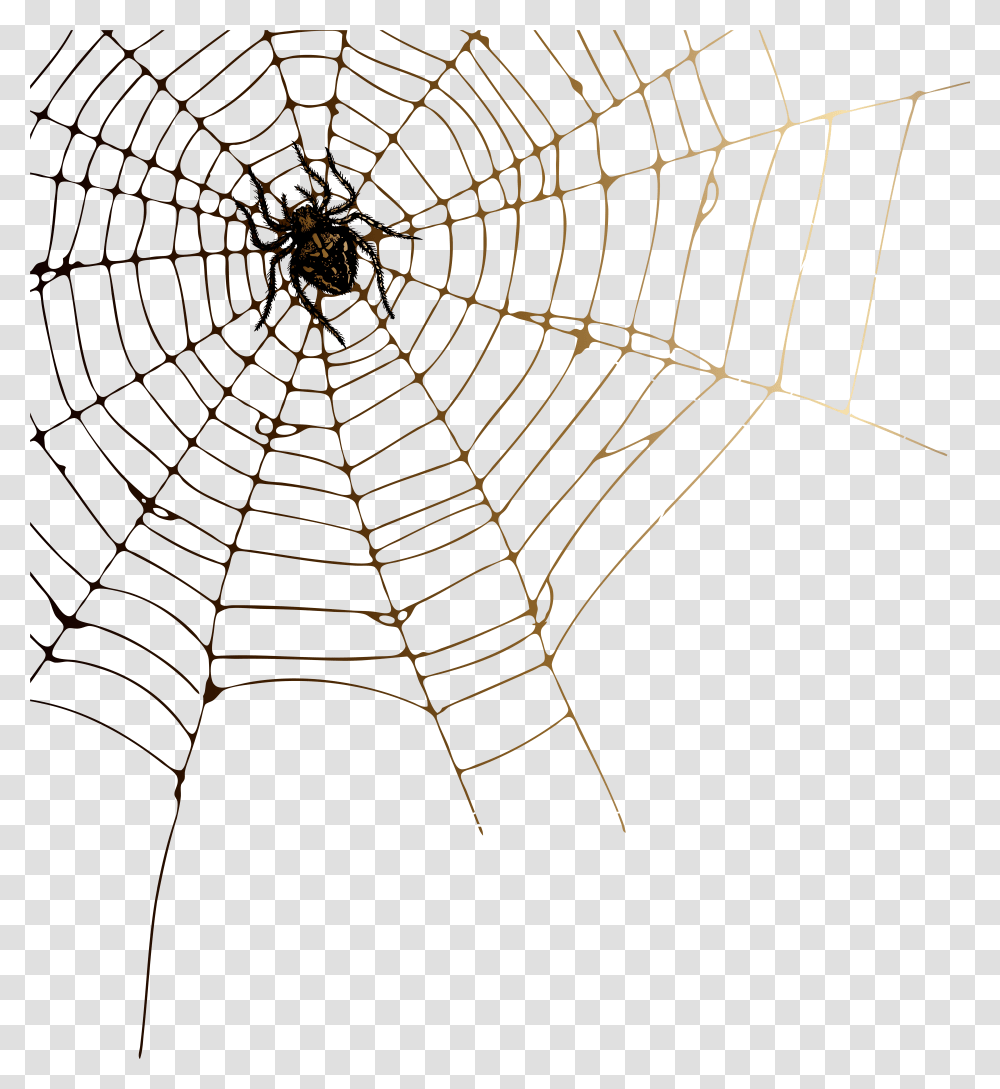 Download Cobweb Image With No, Spider Web Transparent Png