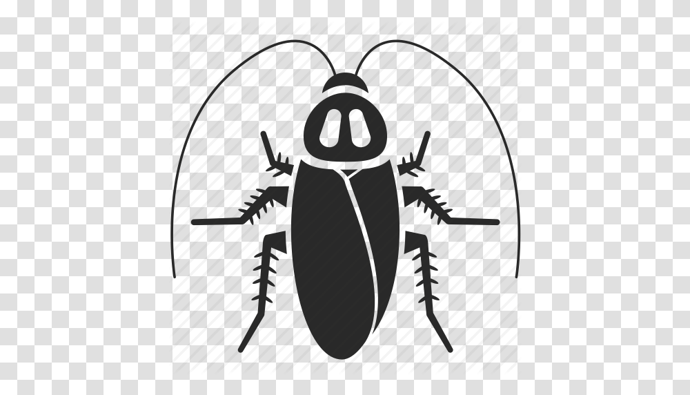 Download Cockroach Icon Clipart Cockroach Pest Control, Insect, Invertebrate, Animal Transparent Png