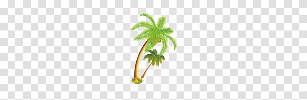 Download Coconut Tree Vector Clipart Palm Trees Coconut Clip, Plant, Leaf, Green, Furniture Transparent Png