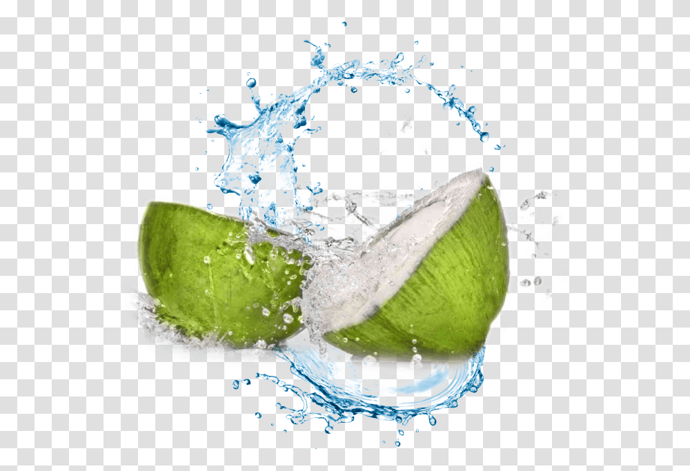 Download Coconut Water Background Full Size Background Water Splash, Plant, Fruit, Food, Vegetable Transparent Png