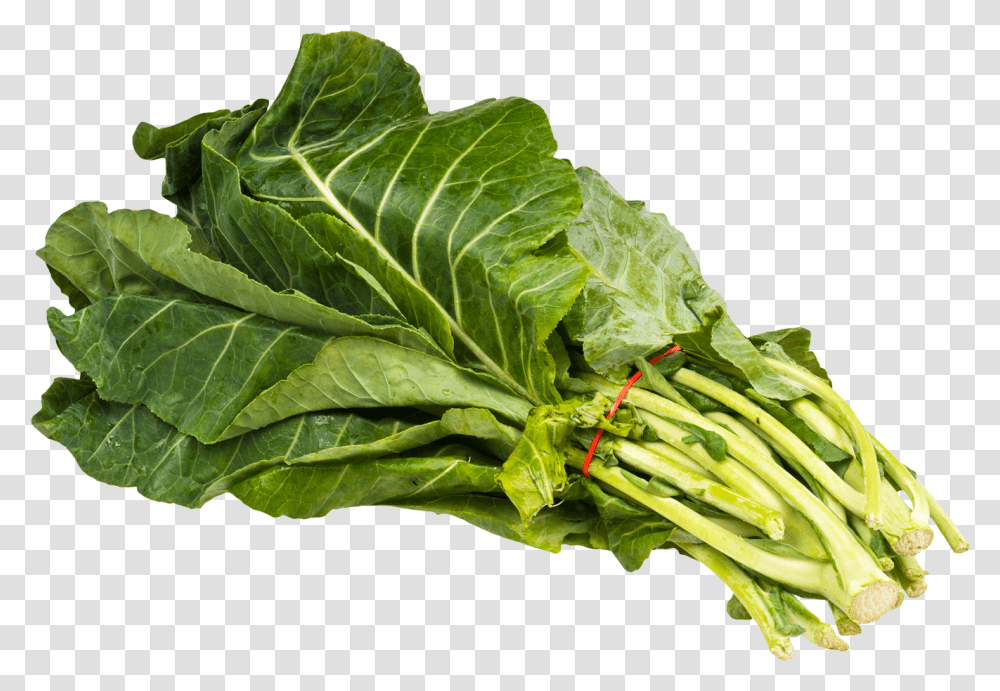 Download Collard Greens Bundle Image For Free Collard Greens, Plant, Vegetable, Food, Spinach Transparent Png