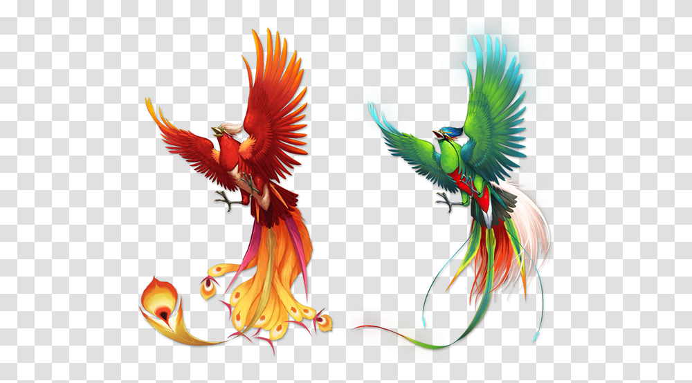 Download Color Pattern Fenghuang Bird Phoenix Free Frame Color Of A Phoenix, Animal, Parrot, Bee Eater, Macaw Transparent Png