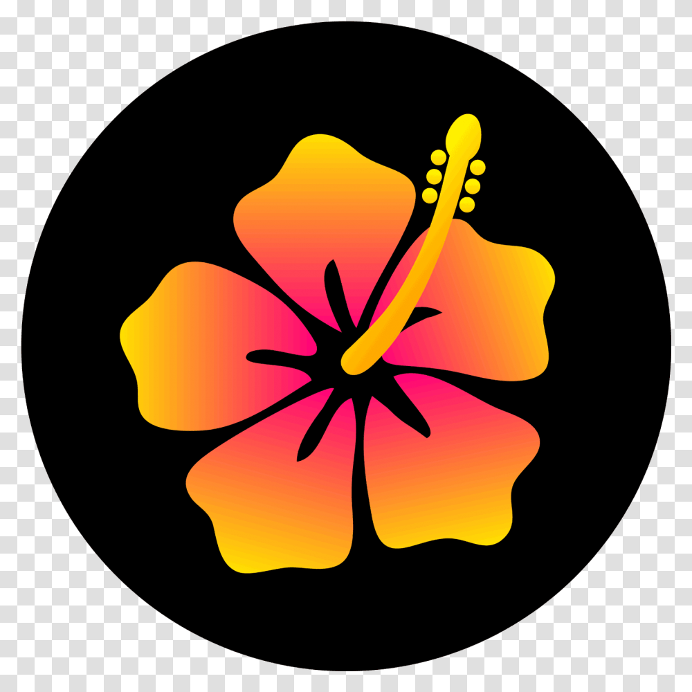 Download Colorful Hibiscus Flower Design Hawaiian Flowers Hibiscus Flower Design, Plant, Blossom, Pollen, Anther Transparent Png