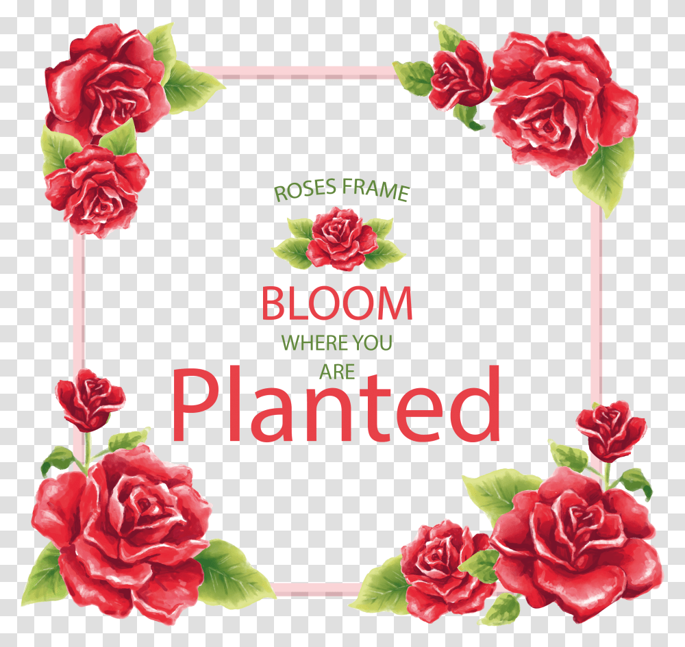 Download Com Floral Frame Vintage Flowers Red Roses Floral, Plant, Carnation, Food, Text Transparent Png