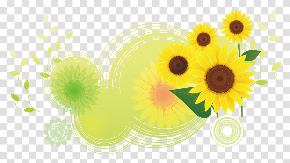 Download Common Sunflower Illustration Bottom Flower, Plant, Blossom Transparent Png