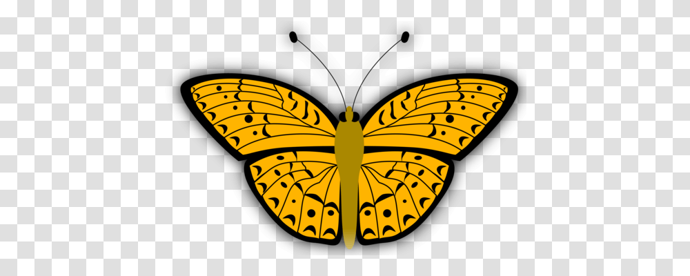 Download Computer Icons Graphic Arts Drawing, Butterfly, Insect, Invertebrate, Animal Transparent Png