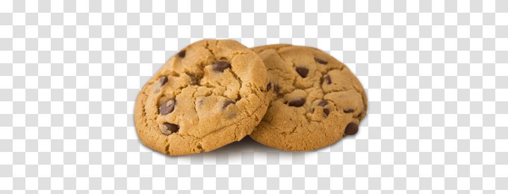 Download Cookie Chocolate Chip Weed Cookies, Bread, Food, Rug, Plant Transparent Png