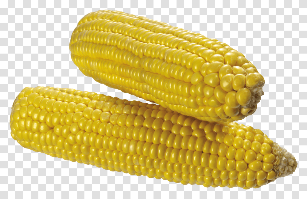 Download Corn Image Corn Background Transparent Png