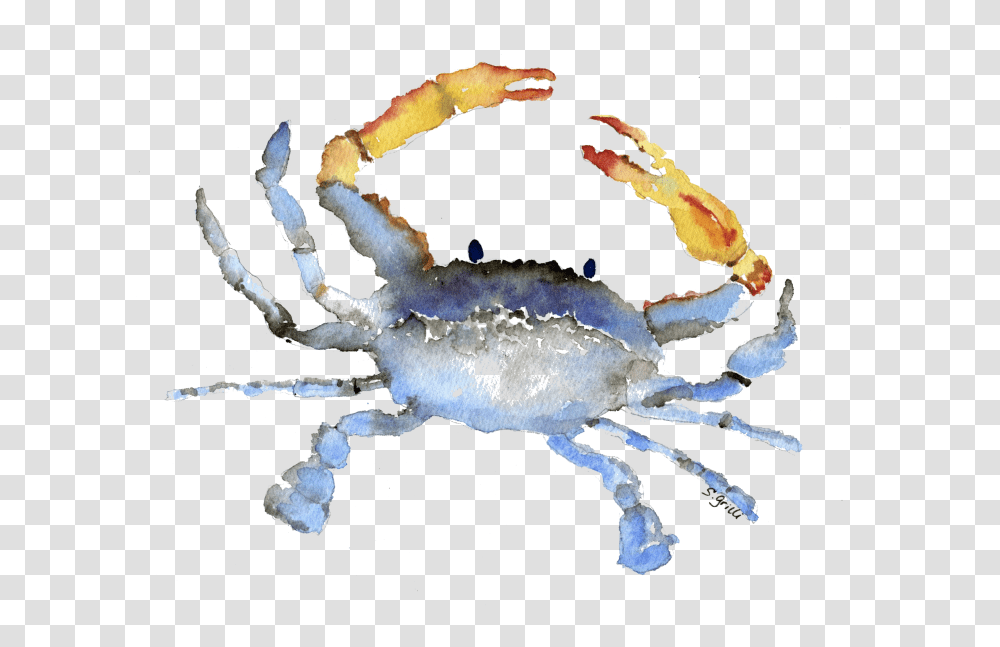 Download Cornelius The Crab Watercolor Watercolor Crab Background, Seafood, Sea Life, Animal, Fungus Transparent Png