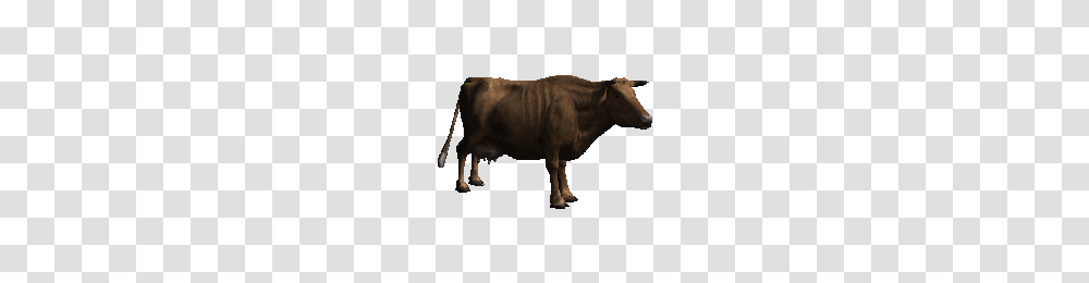 Download Cow Free Photo Images And Clipart Freepngimg, Bull, Mammal, Animal, Cattle Transparent Png