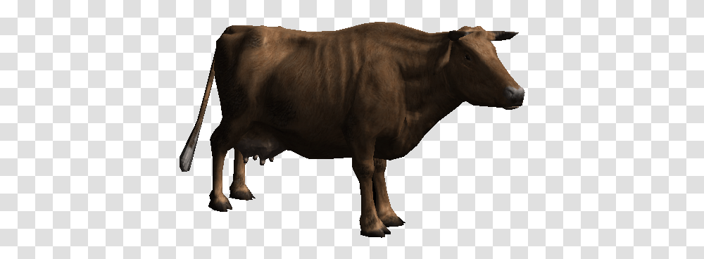 Download Cow Image Hq Ox, Bull, Mammal, Animal, Cattle Transparent Png