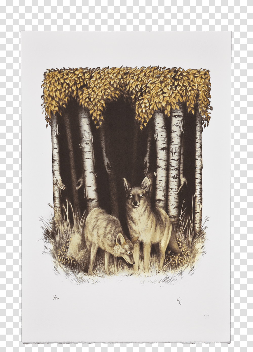 Download Coyote And Birch Boar, Kangaroo, Mammal, Animal, Wallaby Transparent Png