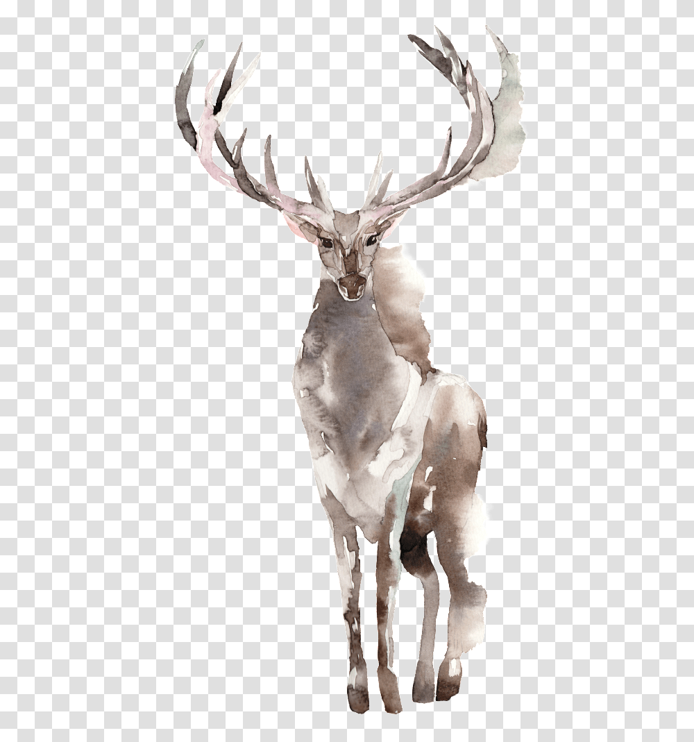 Download Creative Elk Design Watercolor Design Elk, Mammal, Animal, Deer, Wildlife Transparent Png