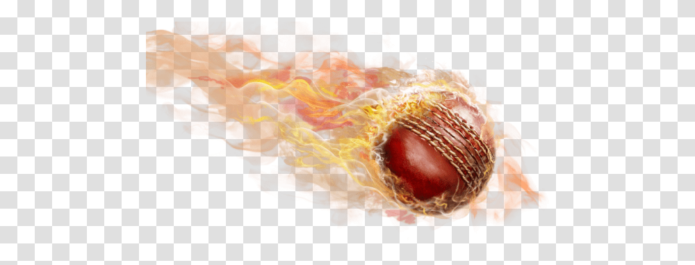 Download Cricket Ball Fire Fire Cricket Ball, Nature, Outdoors, Ornament, Mountain Transparent Png