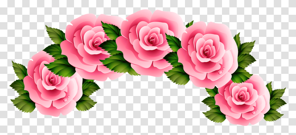 Download Crown Rosecrown Flowercrown Aesthetic Flower Crown, Plant, Blossom, Dahlia, Carnation Transparent Png