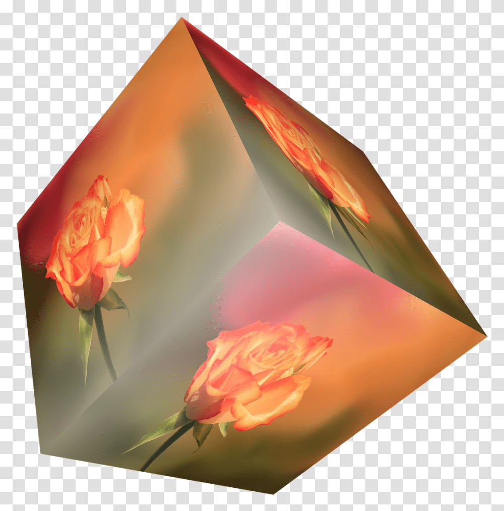 Download Cube Flower Rose Orange Cubo En Con Fondo Transparente, Plant, Blossom, Art, Canvas Transparent Png