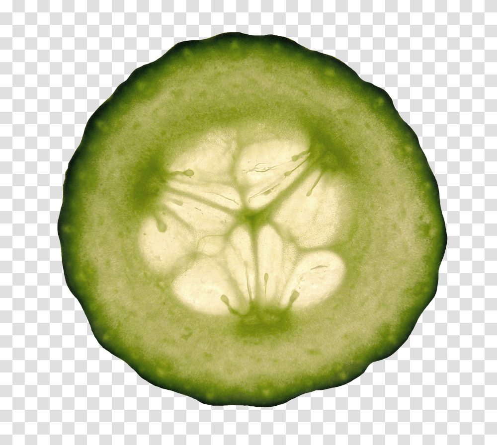 Download Cucumber Slice Clipart Cucumber Hd Download Clip Art, Plant, Vegetable, Food, Sliced Transparent Png