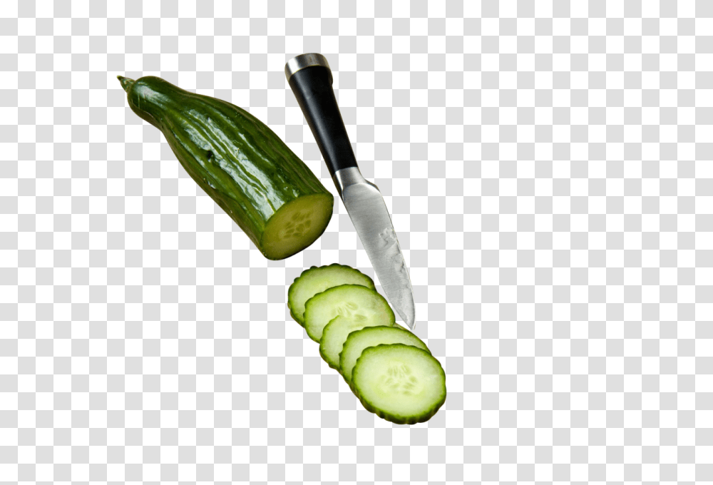 Download Cucumber With Knife Image For Free Obat Maag Herbal Alami, Plant, Vegetable, Food, Produce Transparent Png