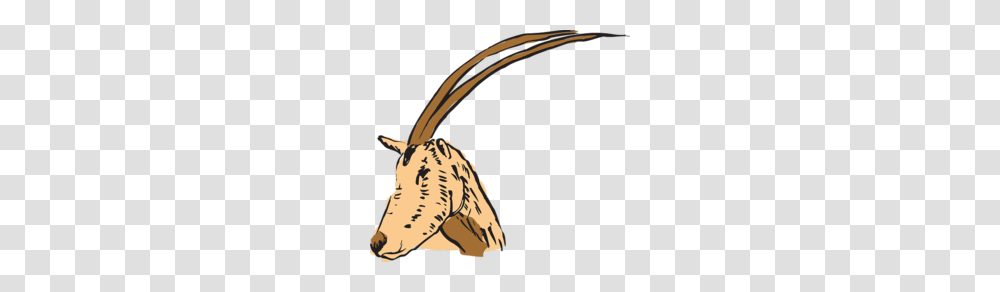 Download Cuernos En Antilope Clipart Antelope Horn Clip Art, Plant, Animal, Mammal, Vegetation Transparent Png