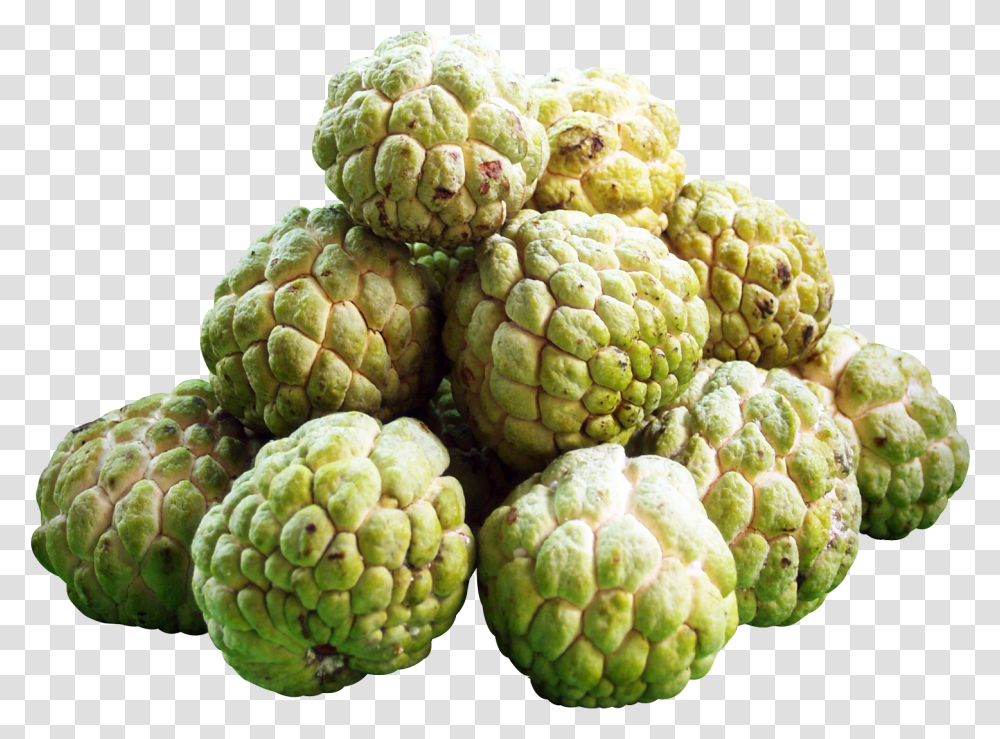 Download Custard Apples Image For Free Custard Apple Fruit, Plant, Annonaceae, Tree, Outdoors Transparent Png
