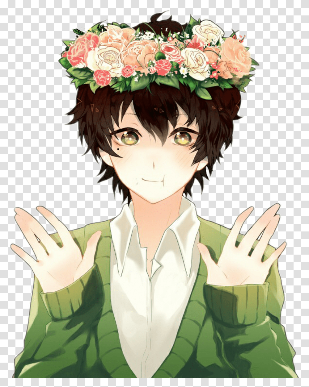 Download Cute Anime Boy, Manga, Comics, Book, Person Transparent Png