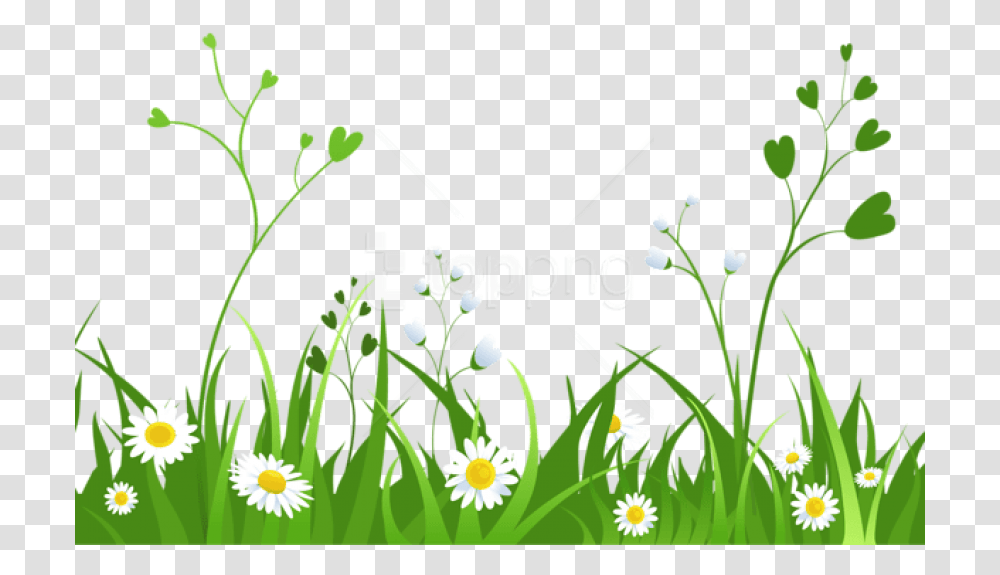 Download Daisies With Grasspicture Images Background Garden Clipart Background, Floral Design, Pattern, Plant Transparent Png